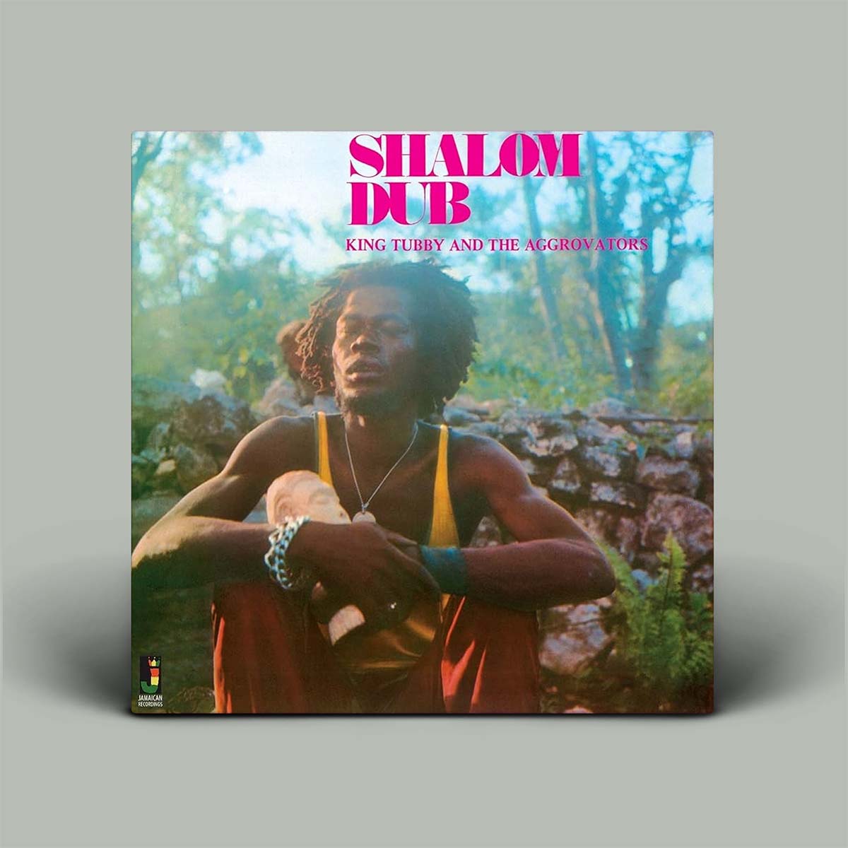 A vinyl record sleeve for 'Shalom Dub' by King Tubby and the Aggregators, featuring a portrait of a man in a yellow tank top and red pants against a forest background, set against a neutral gray backdrop.