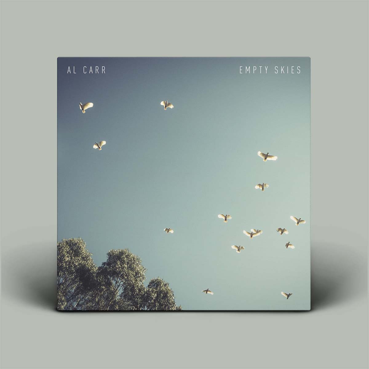 Empty Skies