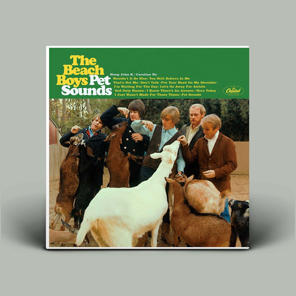 Pet Sounds