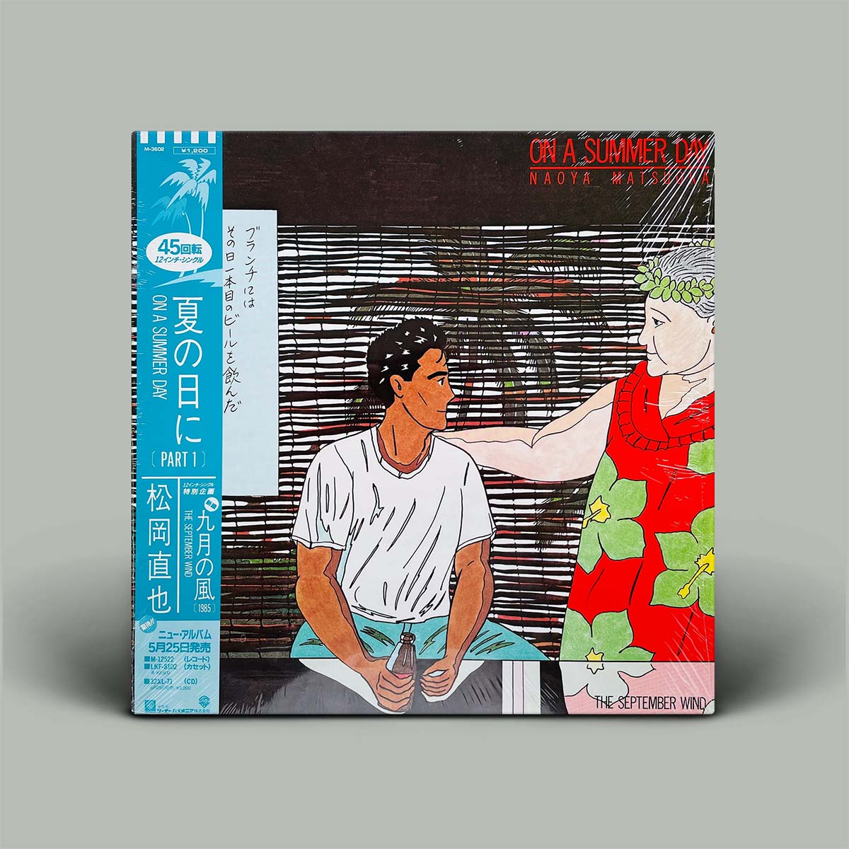 Vinyl record cover with illustration of two people on a gray background