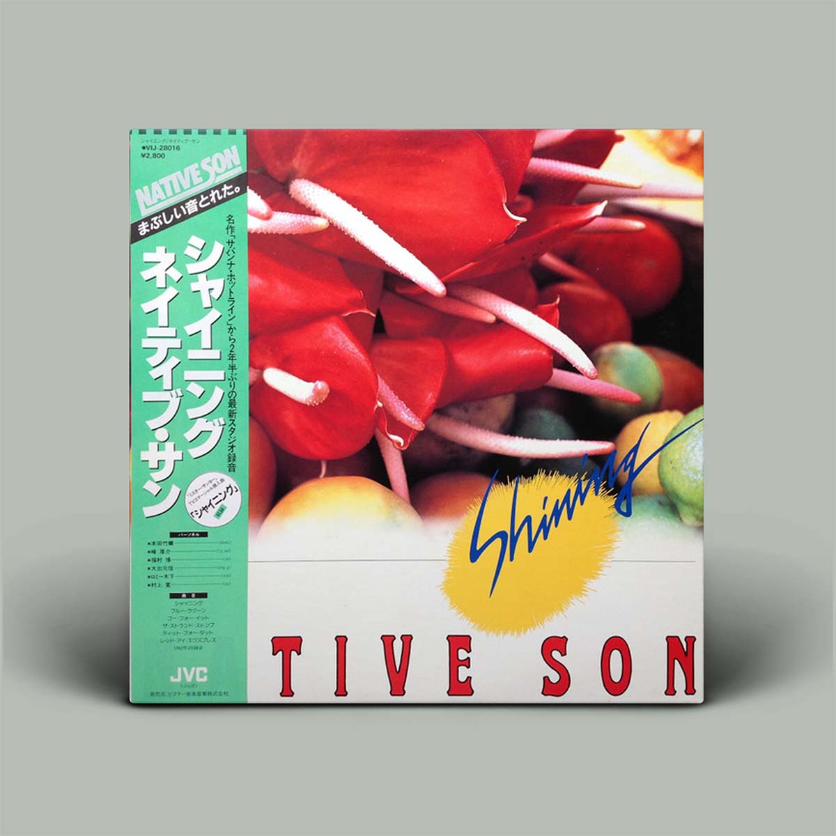 Vinyl record cover with vibrant red flowers and green leaves on a gray background