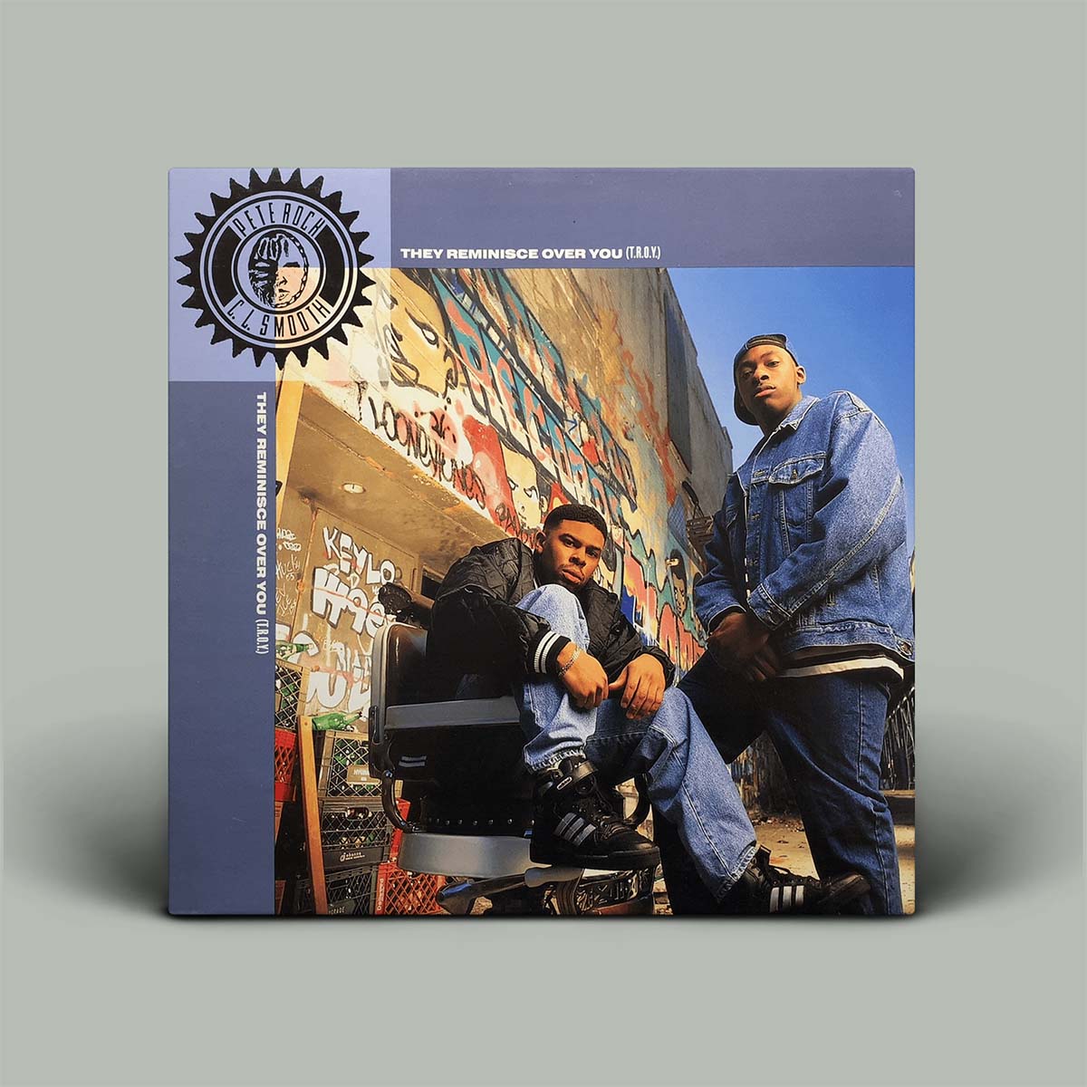 A vinyl record sleeve for the album 'They Rememinice Over You (T.R.O.Y.)', displayed on a neutral gray background. The cover features a photograph of two men in an urban setting with graffiti walls, framed by a blue-gray border with the band's logo on the left.