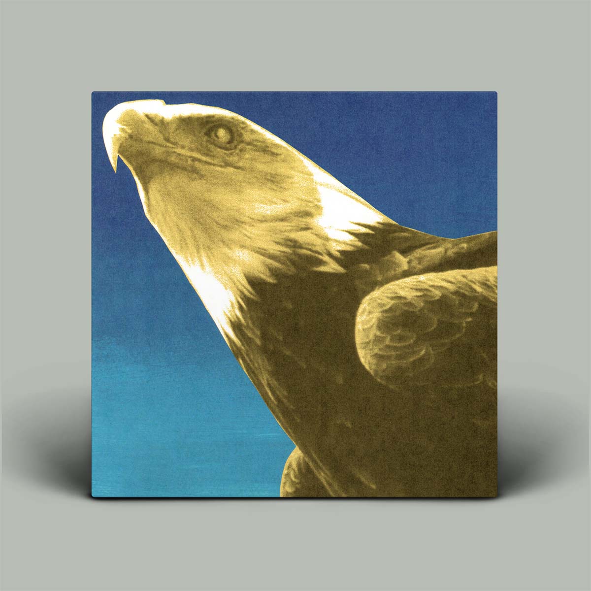 Album cover featuring a close-up photograph of a bald eagle in profile against a blue sky, shown standing against a light gray background.
