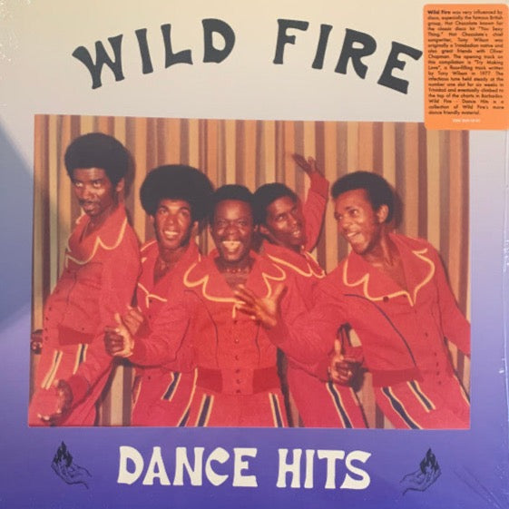 Wild Fire - Dance Hits | Vinyl LP