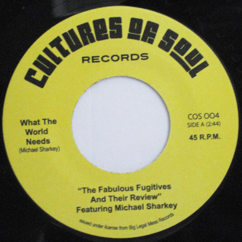 The Fabulous Fugitives – What The World Needs | Vinyl 7"