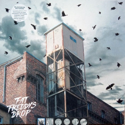 Fat Freddy's Drop – Blackbird Returns | Vinyl LP
