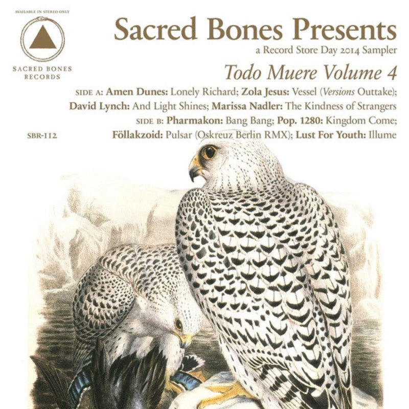 Various – Todo Muere Volume 4 | Vinyl LP