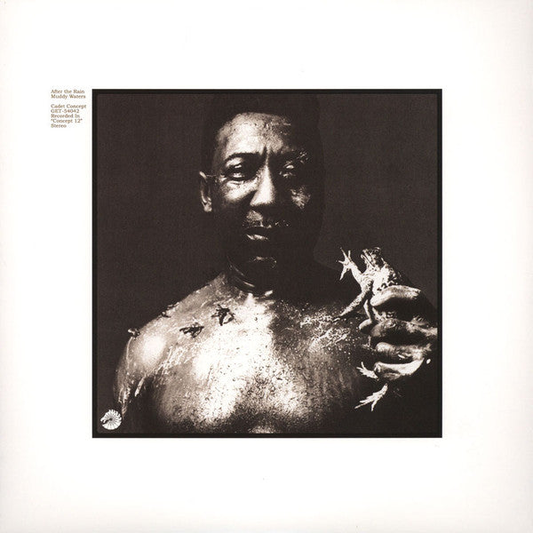 Muddy Waters – After The Rain | Vinyl LP