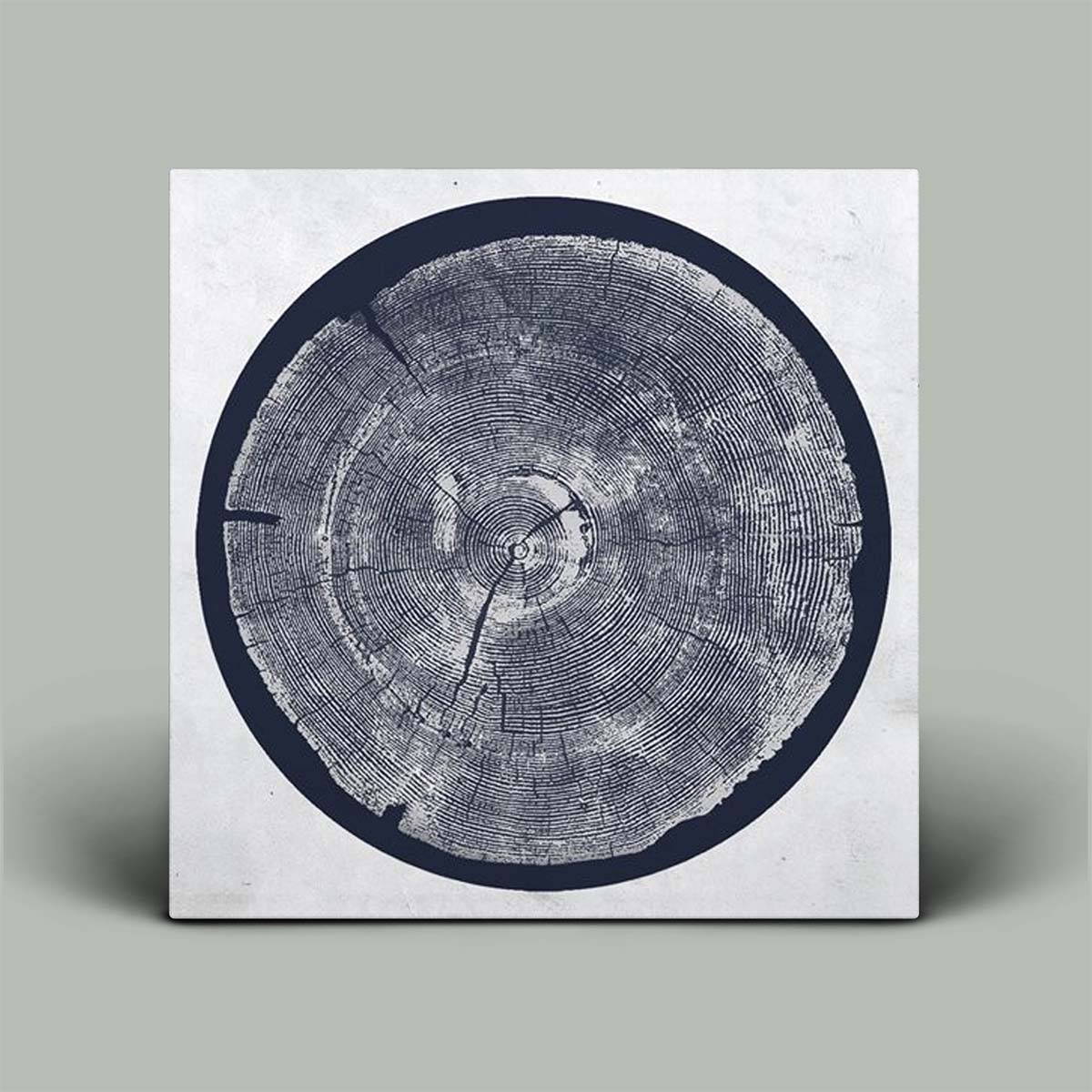 A square wall art print featuring a detailed tree trunk cross-section design in dark navy blue on a light gray background, shown as a physical canvas standing upright against a solid gray backdrop.