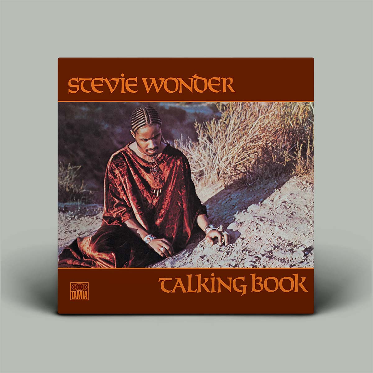 Album cover of 'Talking Book' by Stevie Wonder with a person sitting in nature.