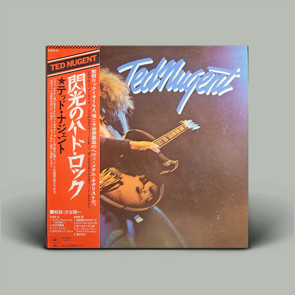 Vinyl record cover with Ted Nugent's name and a guitar player on a gray background