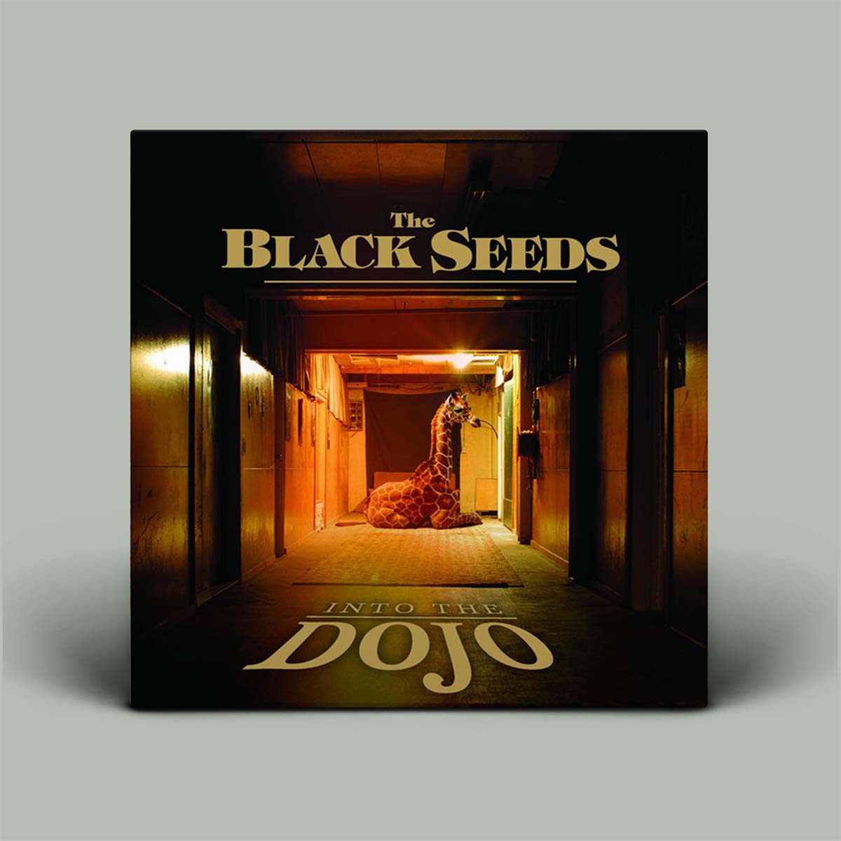Album cover for 'Into the Dojo' by The Black Seeds with a giraffe in a hallway.
