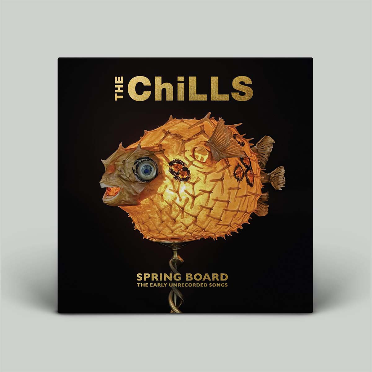 The Chills - Spring Board: The Early Unrecorded Songs | Vinyl LP