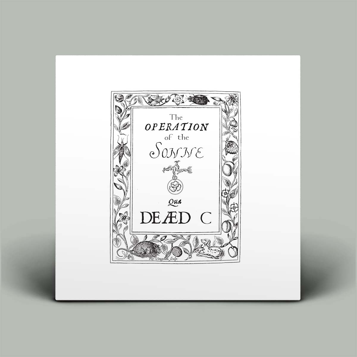 A square white art print or poster featuring black vintage-style text and botanical border illustrations, shown against a light gray background with a soft shadow.