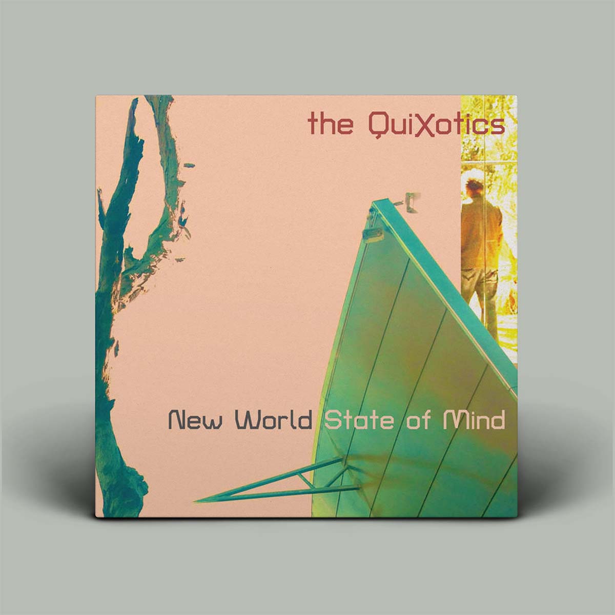 The Quixotics -  New World State of Mind | Vinyl LP