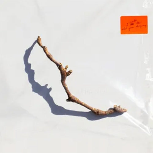 PJ Harvey – I Inside The Old Year Dying | Vinyl LP