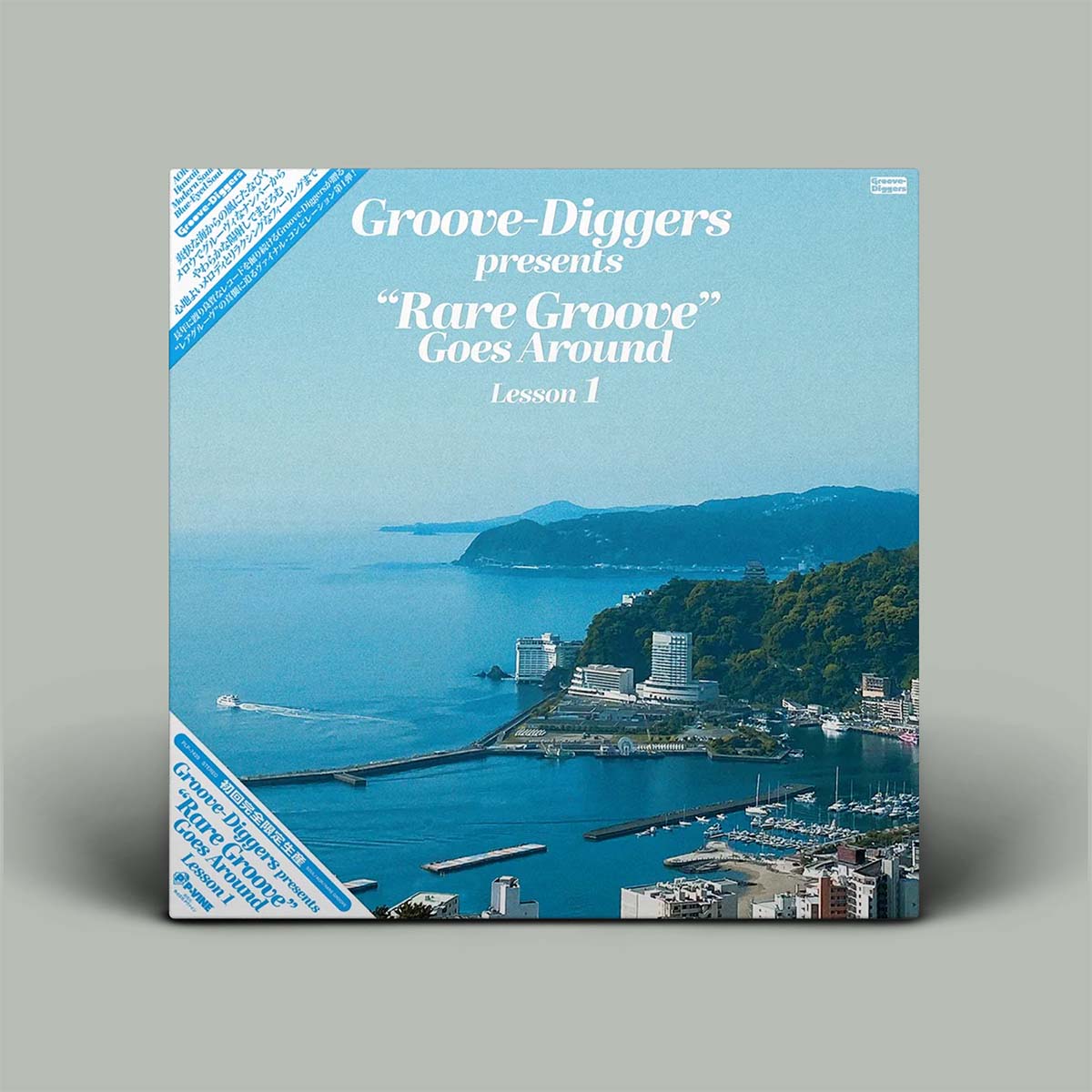 Various ‎– Groove-Diggers Presents Rare Groove Goes Around: Lesson 1 | Vinyl LP