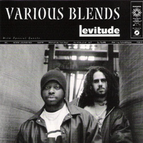 Various Blends – Levitude | Vinyl LP