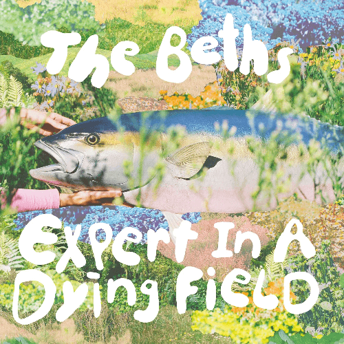 The Beths - Expert In A Dying Field | Vinyl LP