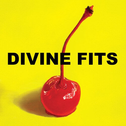 Divine Fits - A Thing Called Divine Fits | Vinyl LP