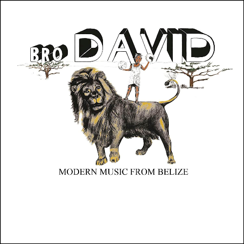 Bro David - Modern Music From Belize | Vinyl LP
