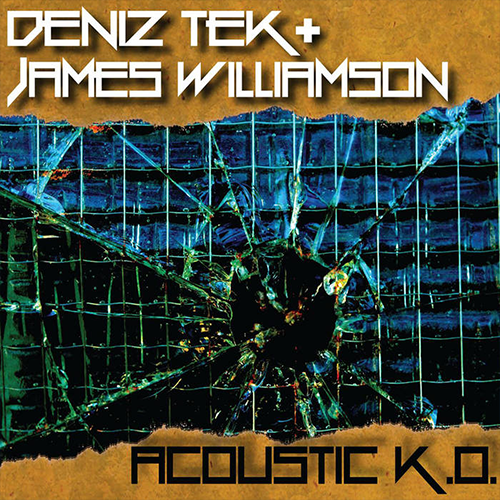 Deniz Tek + James Williamson – Acoustic K.O. | Vinyl LP 