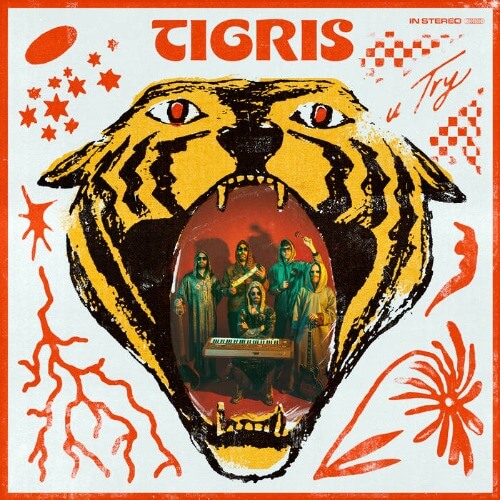 Tigris - U Try | Vinyl LP
