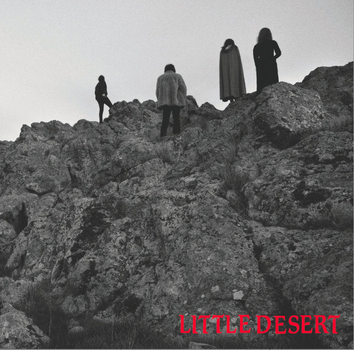 Little Desert - Ashes 7" | Oh! Jean Records 