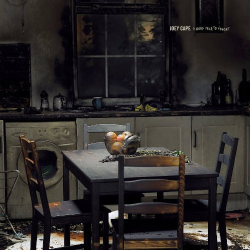 Joey Cape - A Good Year To Forget | Vinyl LP