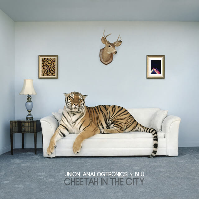A cheetah sits on a white couch in front of a blue wall.