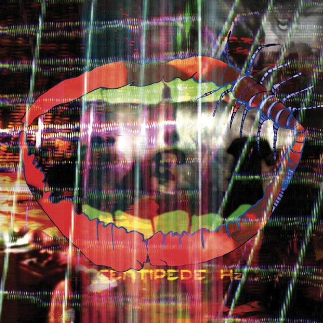 Animal Collective - Centipede Hz | Vinyl LP