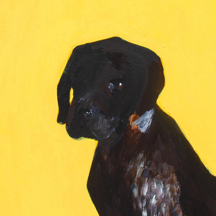 Led Zeppelin - Black Dog | Oh! Jean Records