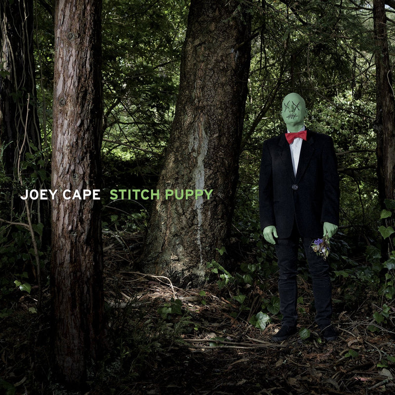 Joey Cape - Stitch Puppy | Vinyl LP
